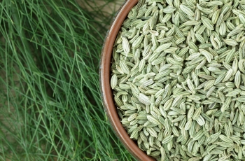 Fennel seeds are rich in minerals like magnesium and potassium, offering various health benefits. They contain fenchone and anethol and are commonly eaten raw for their refreshing taste. These seeds are also used in salads and soups to enhance flavor. Medically, fennel seeds aid digestion, reduce bloating, and act as a mouth freshener. They are green in color when fresh and have a sweet, crisp taste. Known as saunf or variyali in India, fennel seeds are popularly used in sarbat (cold drinks) to combat hot weather. They are used in food, medicines, and perfumery, and are exported in various forms. Krishna Industries offers a range of high-quality fennel seeds, including Europe, Singapore, Gulf, and USA quality, both organic and processed.